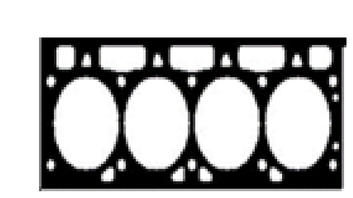 Junta de CULATA HONDA CIVIC / ACCORD / CR-V L15B7 / L15BB1.5L 16/21