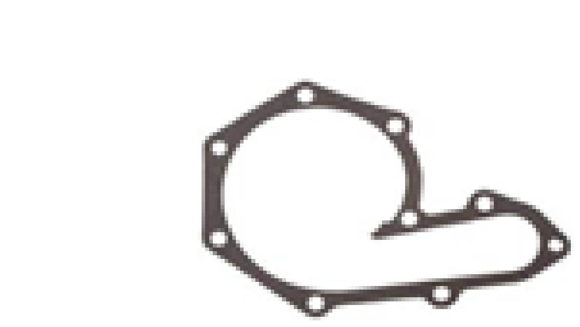 JUNTA DE BYT AGUA RENAULT MEGANE, CLIO, KANGOO, DUSTER